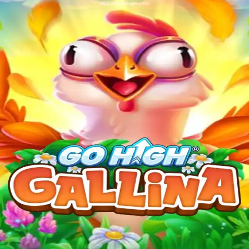 Discover the Thrilling World of GoHighGallina